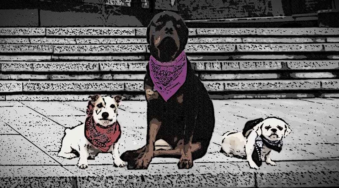 The Good, The Bad, and The Ugly