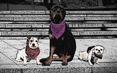 The Good, The Bad, and The Ugly